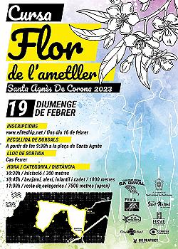 XI Cursa Flor de L'Ametller 2023